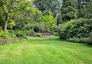 Optimiser l'expérience du jardin à Landogne